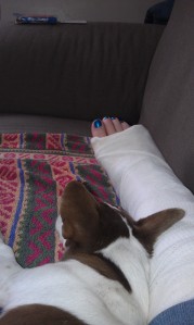 Pippin loves my cast.